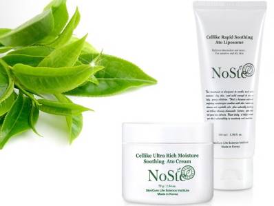 "Noste ato cream" Winter limelight 썸네일
