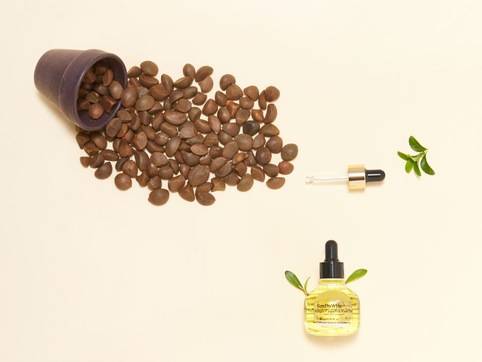 Skin Moisturizing With "Sandawha Camellia Face Oil" 썸네일