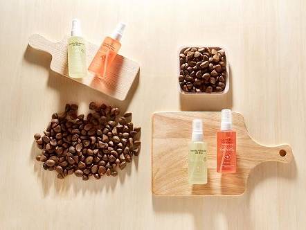 SkinCure Winter Moisturizing, Camellia Mist Skin Care 썸네일