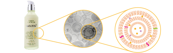 FORMULATION image01
